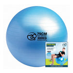 Fitness Mad Swiss Ball with pump
